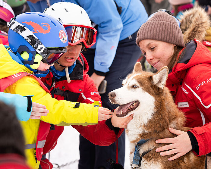 A child and two ski instructors are stroking a husky
